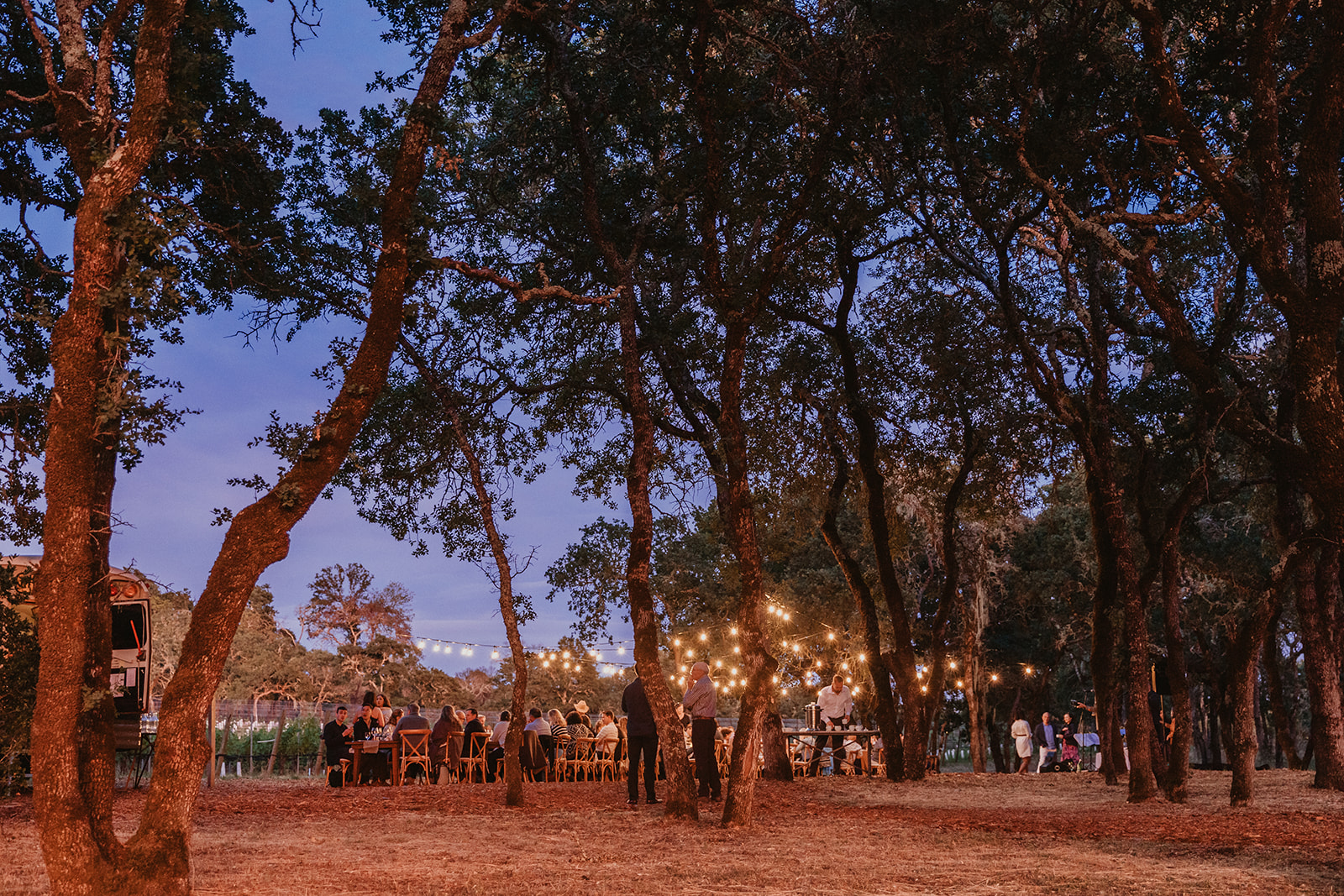 dinner in the vineyard during sunset.